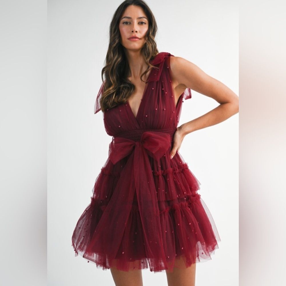 Elegant Burgundy Tulle Dress